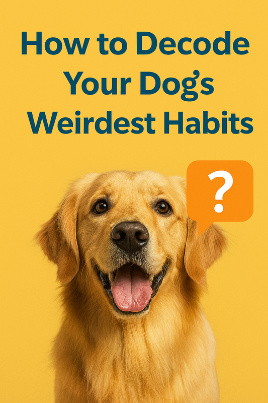 How to Decode Your Dog’s Weirdest Habits