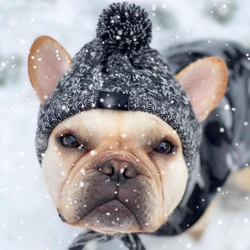 SnugTail Beanie