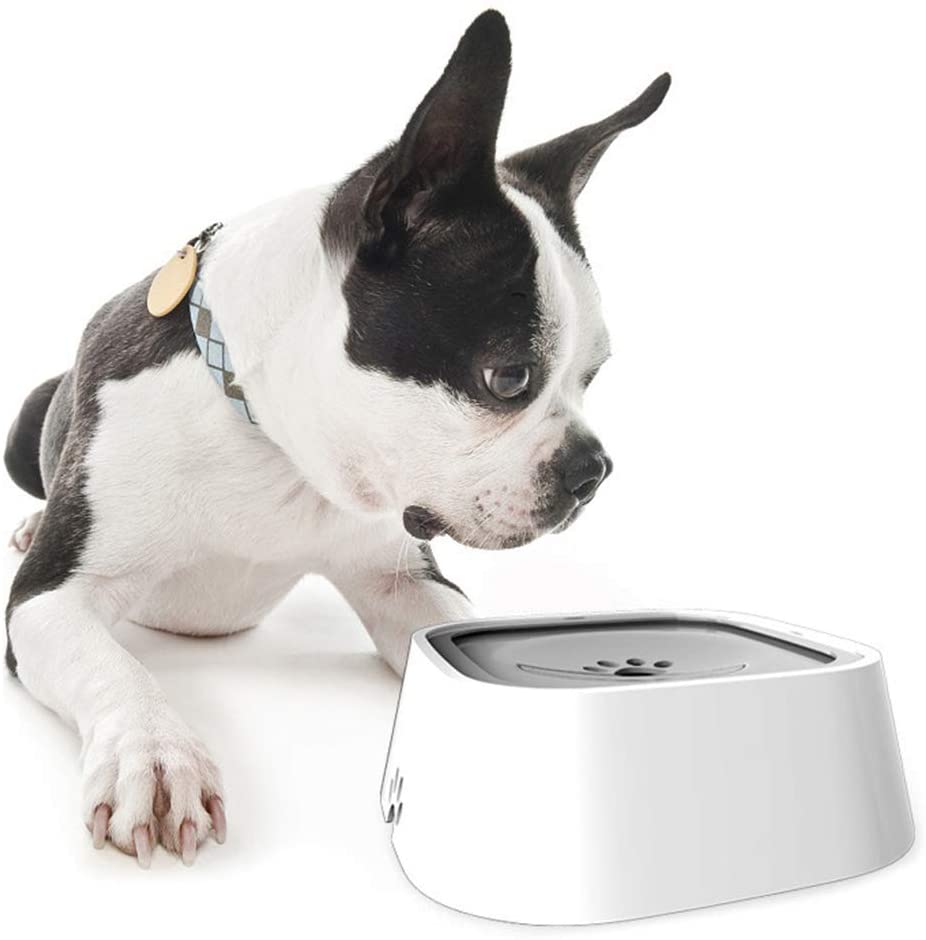 No-Spill Pet Bowl: Travel-Safe & Mess-Free