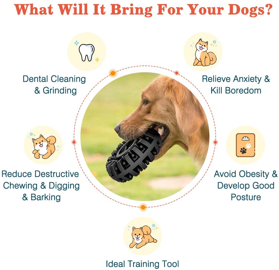 TuffTread- Interactive Chew Wheel