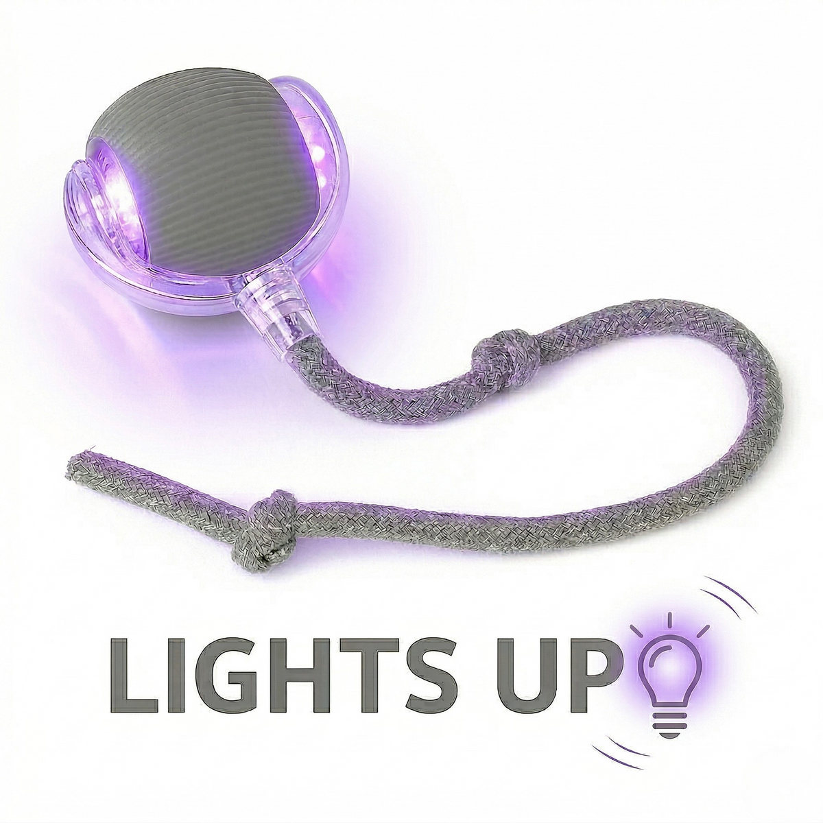 RoboChase Pet Toy Ball