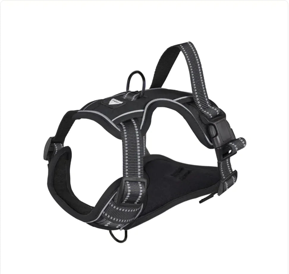 SafeStride™ Reflective No-Pull Harness + Leash Set