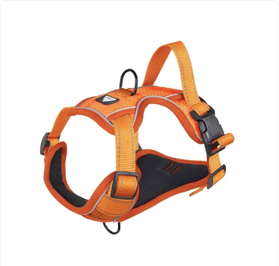 SafeStride™ Reflective No-Pull Harness + Leash Set
