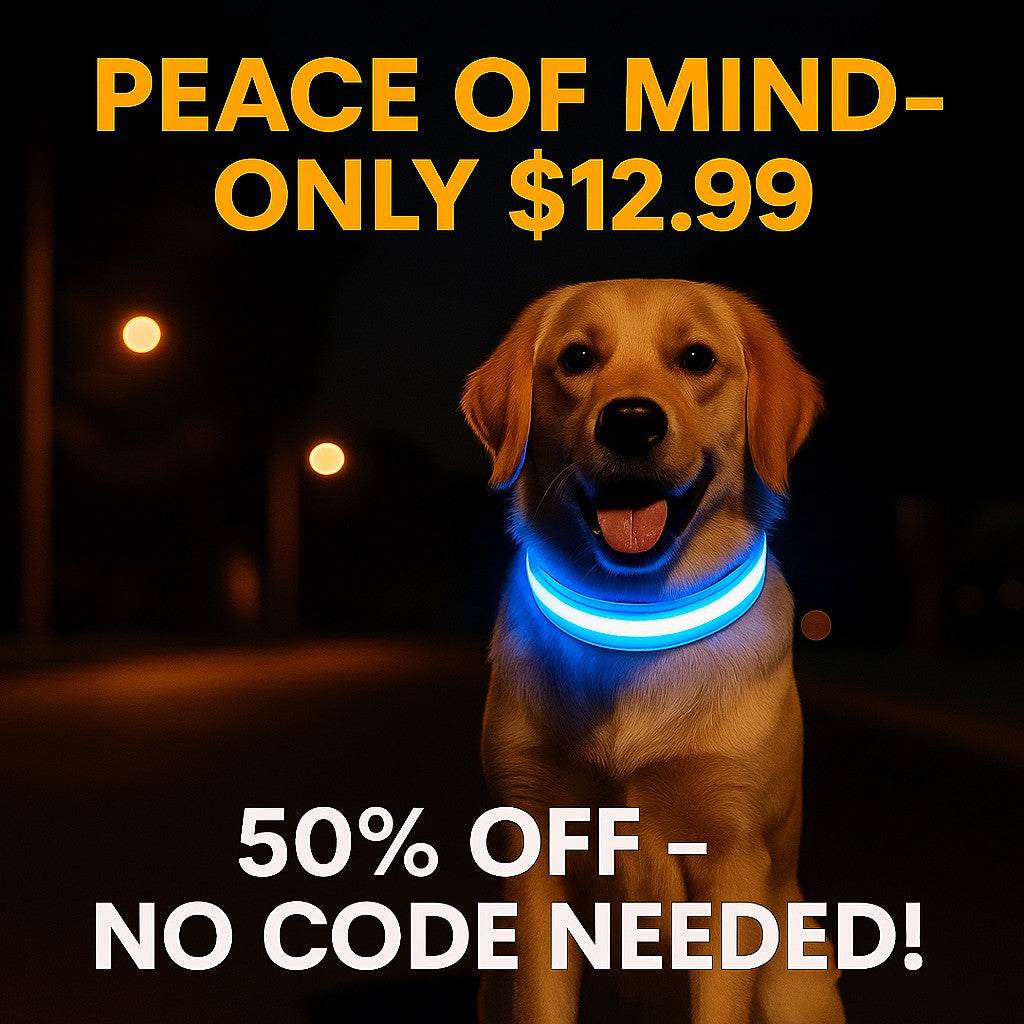 HaloGlow™ LED Pet Collar – Fast U.S. Shipping (3–5 Days)