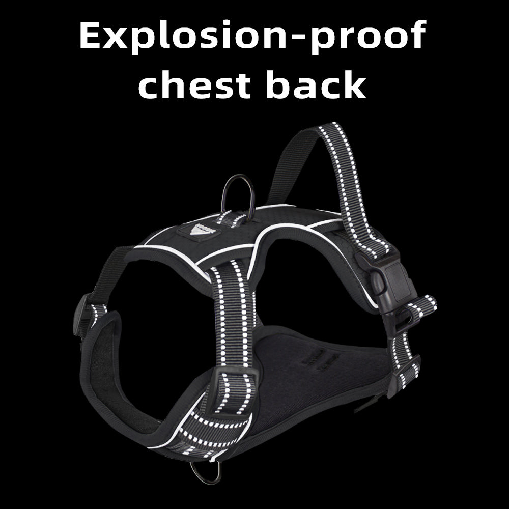 SafeStride™ Reflective No-Pull Harness + Leash Set