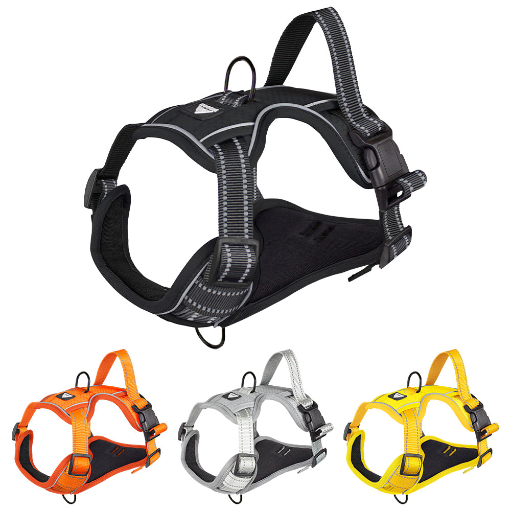 SafeStride™ Reflective No-Pull Harness + Leash Set