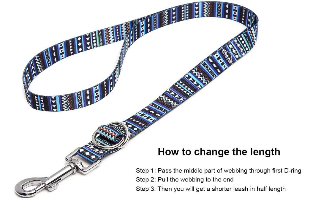 StyleTrek Leash