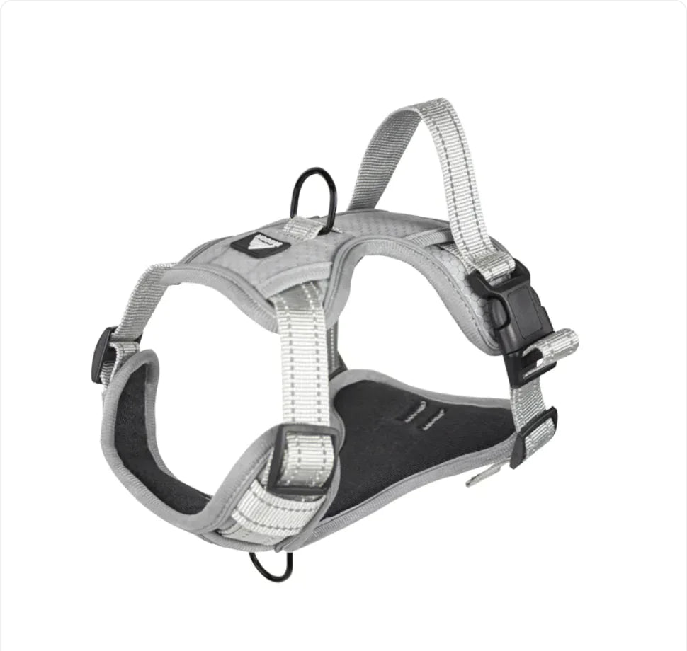 SafeStride™ Reflective No-Pull Harness + Leash Set