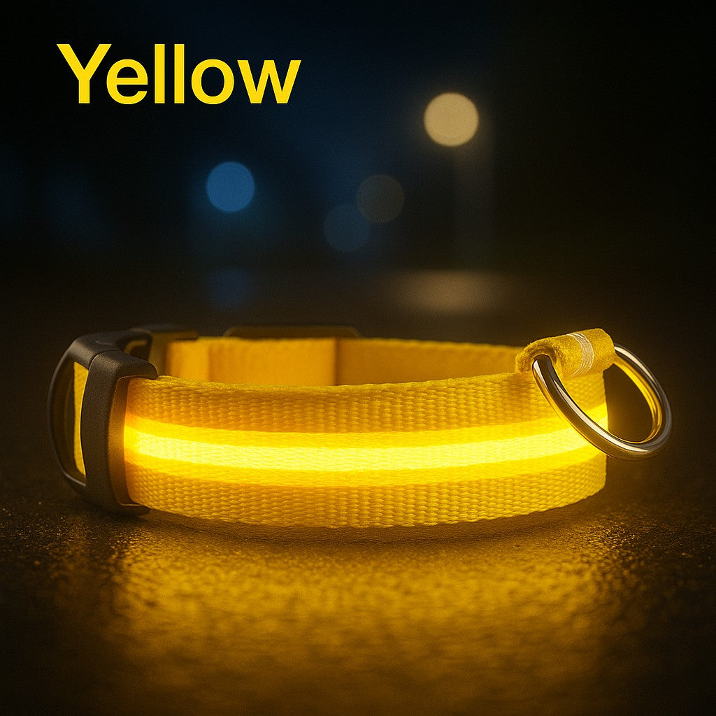 HaloGlow™ LED Pet Collar – Fast U.S. Shipping (3–5 Days)