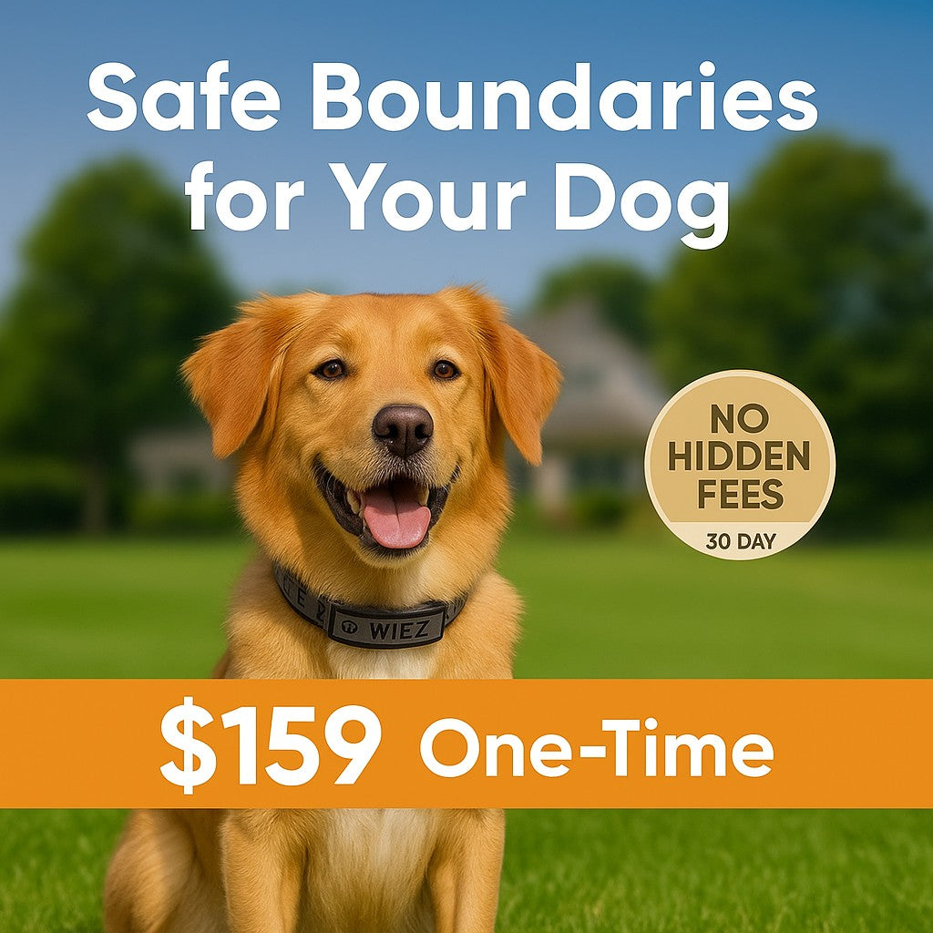 WIEZ Advanced Wireless GPS Dog Fence- Fast Shipping US only