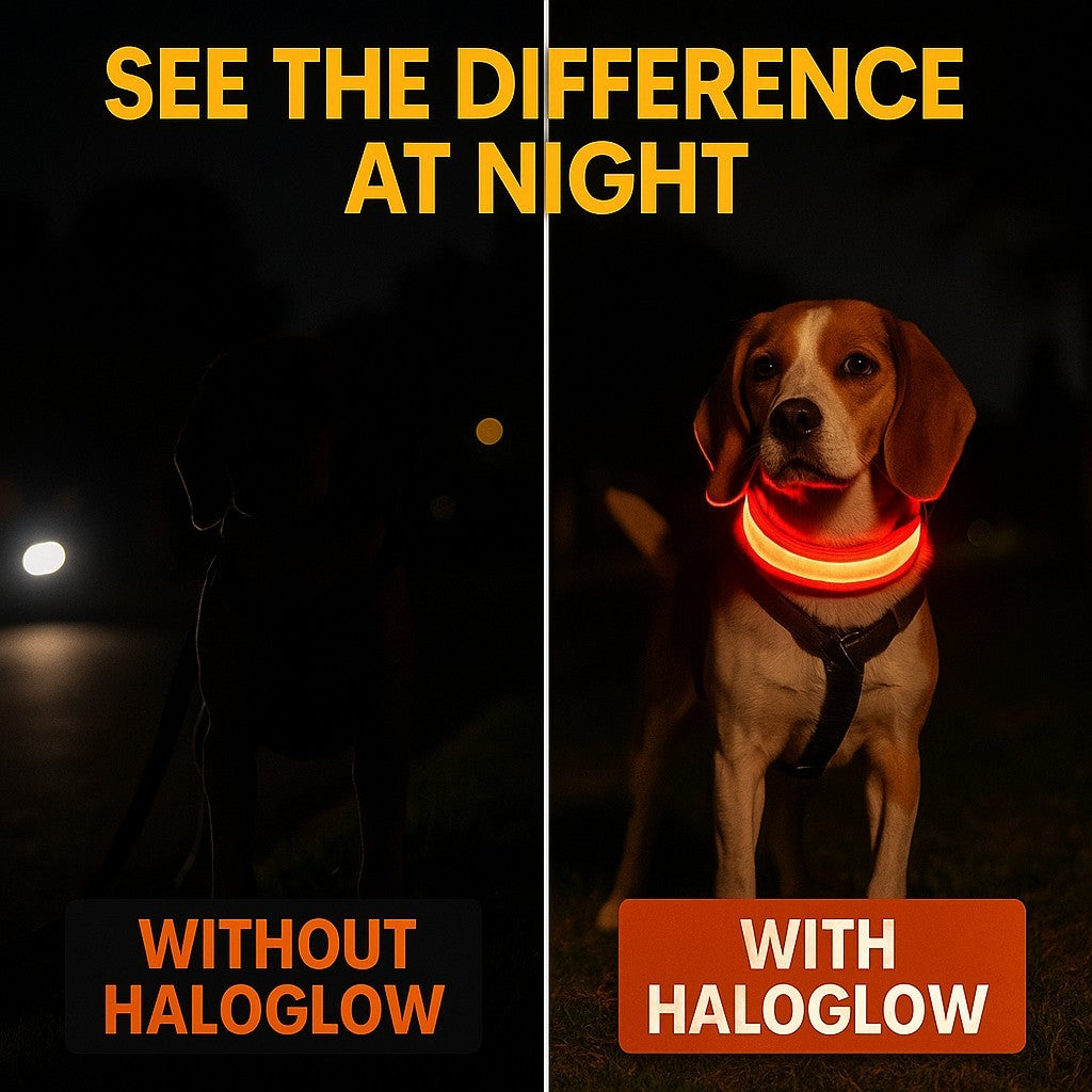 HaloGlow™ LED Pet Collar – Fast U.S. Shipping (3–5 Days)