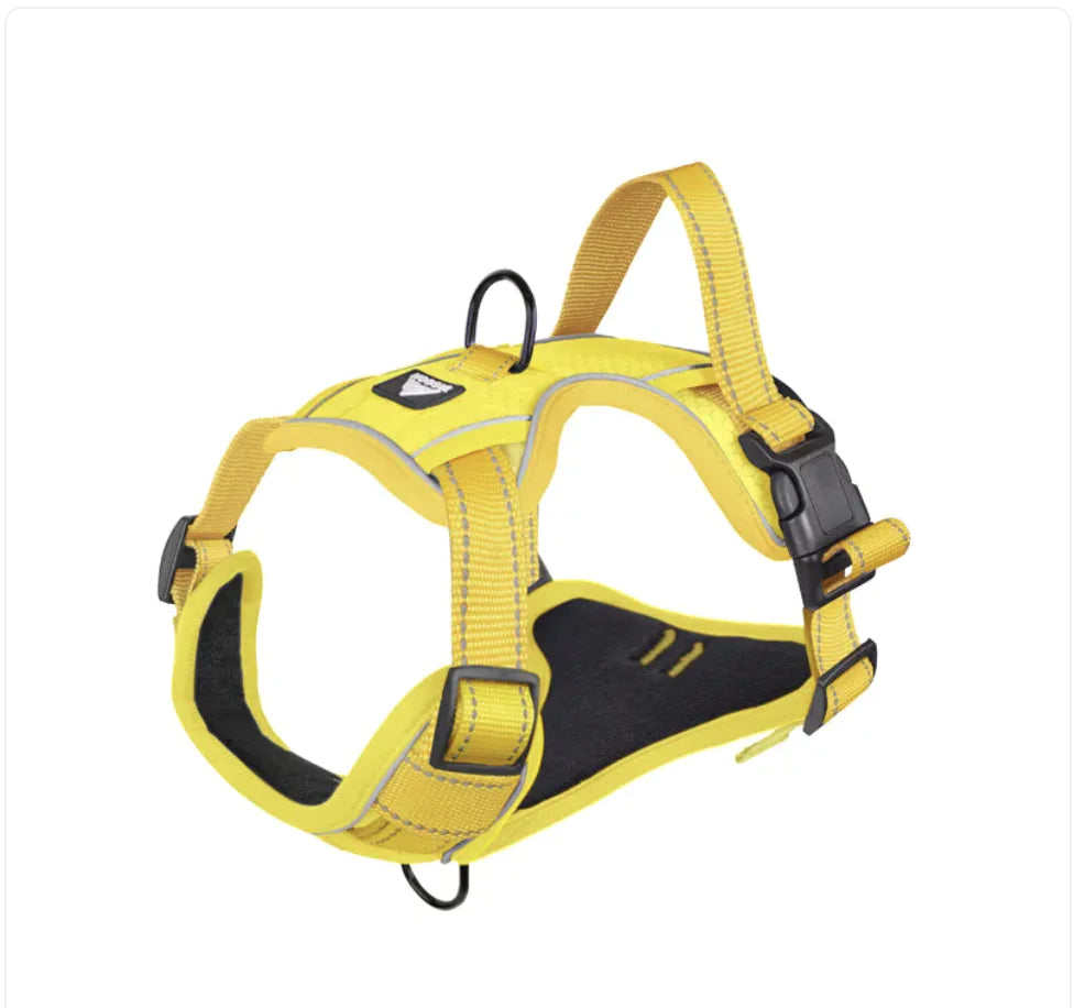 SafeStride™ Reflective No-Pull Harness + Leash Set