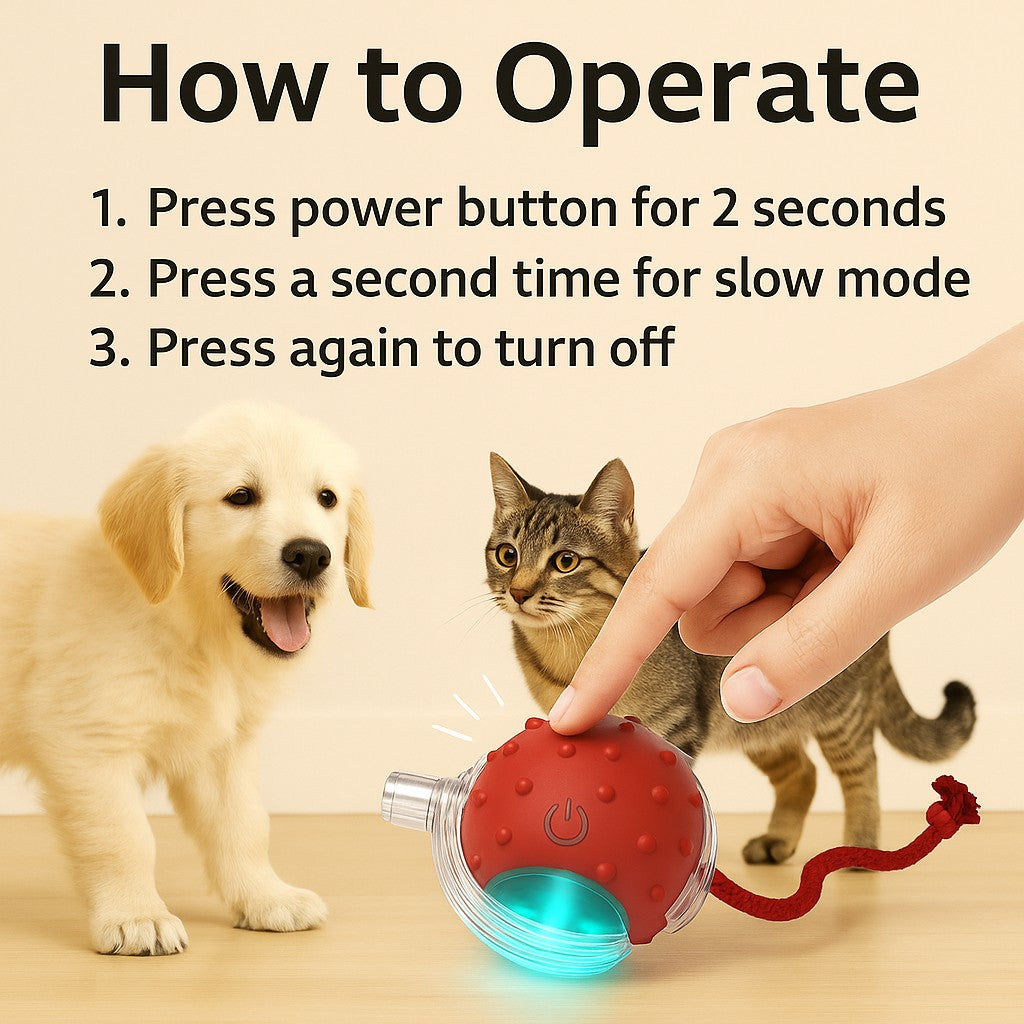 RoboChase Pet Toy Ball