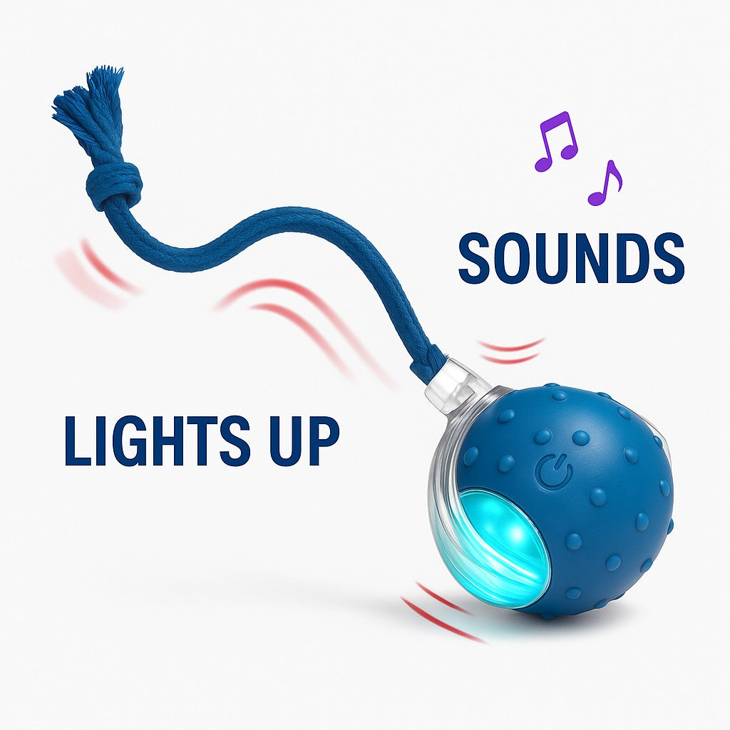 RoboChase Pet Toy Ball