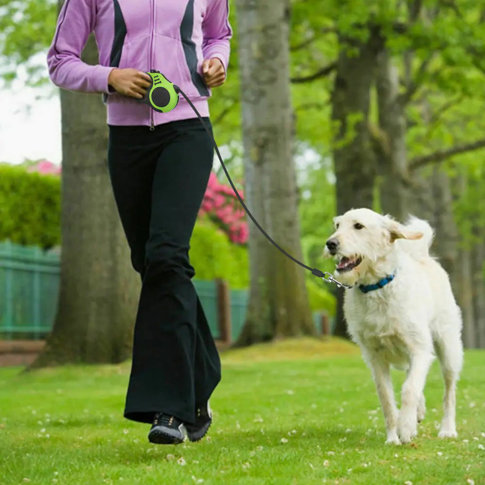 Quick-Retract 16.5FT Dog Walking Leash: Fast Shipping US