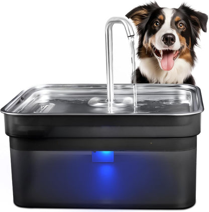 Pure-Flow Pro: 10L Pet Fountain: Fast US Shipping Only