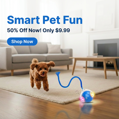 RoboChase Pet Toy Ball