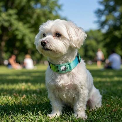 StyleTrack-AirTag Collar