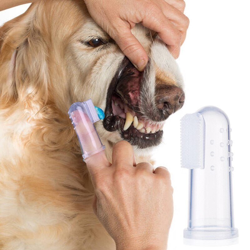 FurFresh Dental Brush