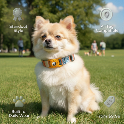 StyleTrack-AirTag Collar