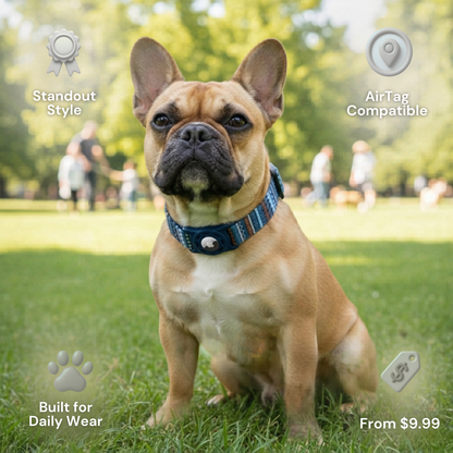 StyleTrack-AirTag Collar