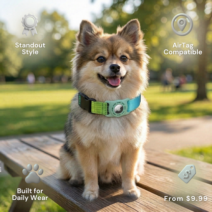 StyleTrack-AirTag Collar