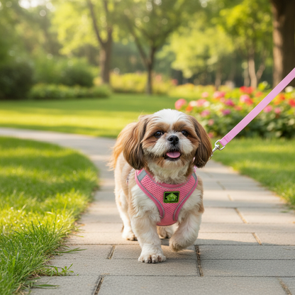 CozyStep™ Reflective Mesh Harness + Leash Set