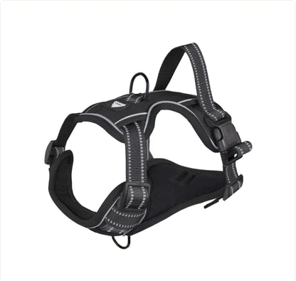 SafeStride™ Reflective No-Pull Harness + Leash Set