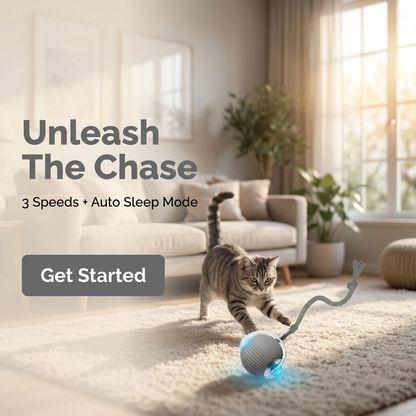 RoboChase Pet Toy Ball