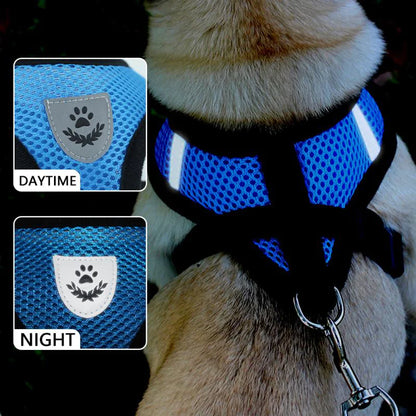 TrailPaw™ Reflective Mesh Harness + Leash (Fast U.S. Shipping)