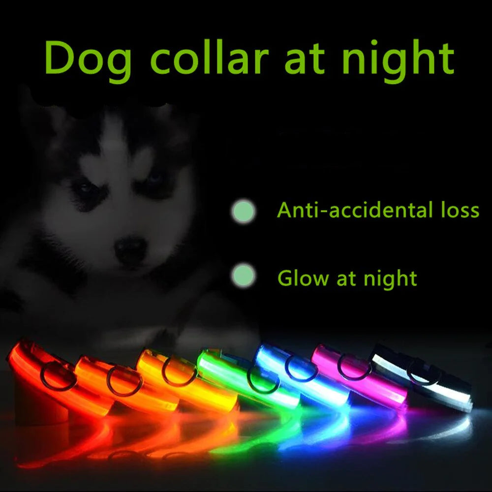 HaloGlow™ LED Pet Collar – Fast U.S. Shipping (3–5 Days)