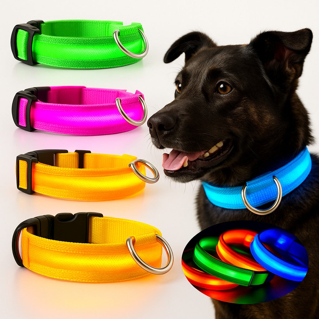 HaloGlow™ LED Pet Collar – Fast U.S. Shipping (3–5 Days)