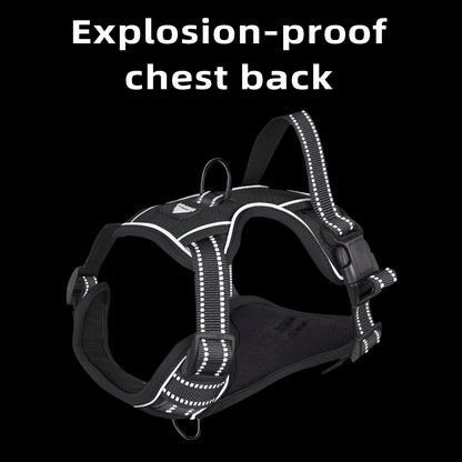 SafeStride™ Reflective No-Pull Harness + Leash Set