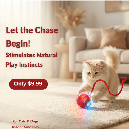 RoboChase Pet Toy Ball