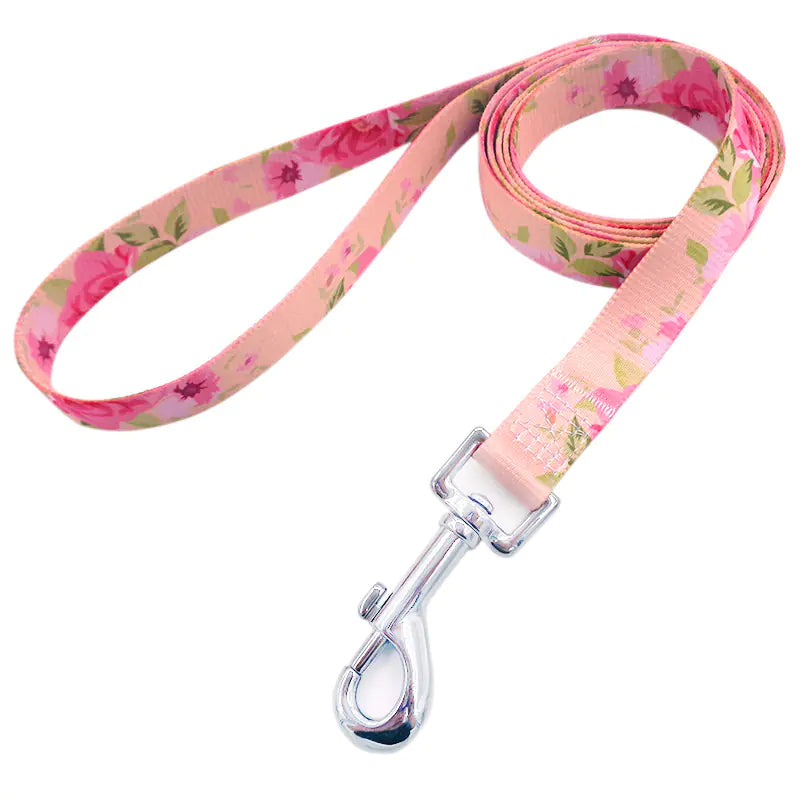 StyleTrek Leash