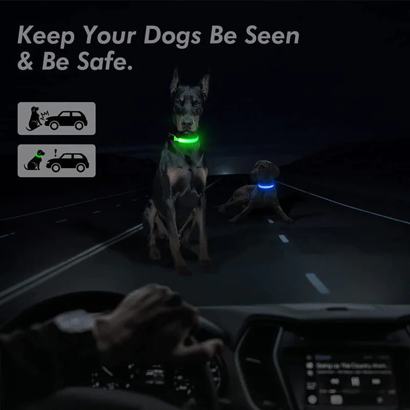 HaloGlow™ LED Pet Collar – Fast U.S. Shipping (3–5 Days)