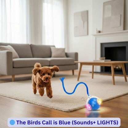 RoboChase Pet Toy Ball