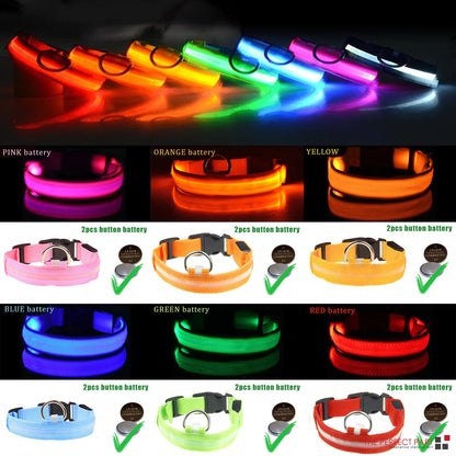 HaloGlow™ LED Pet Collar – Fast U.S. Shipping (3–5 Days)