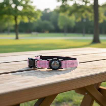 SafePet AirTag Collar