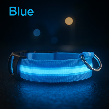 HaloGlow™ LED Pet Collar – Fast U.S. Shipping (3–5 Days)