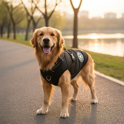 Waterproof Dog Jacket With Harness