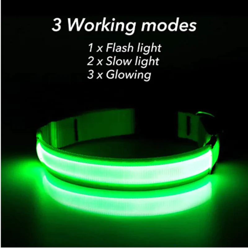 HaloGlow™ LED Pet Collar – Fast U.S. Shipping (3–5 Days)