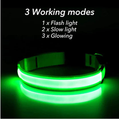 HaloGlow™ LED Pet Collar – Fast U.S. Shipping (3–5 Days)