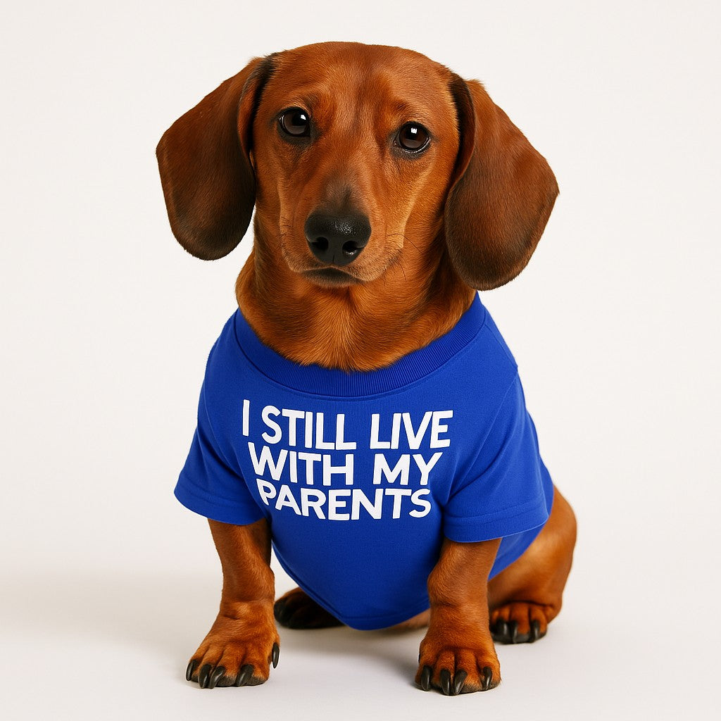 Tail Waggin' Tee-For Dogs & Cats