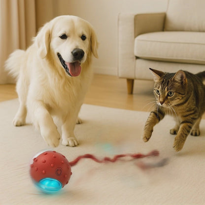 RoboChase Pet Toy Ball