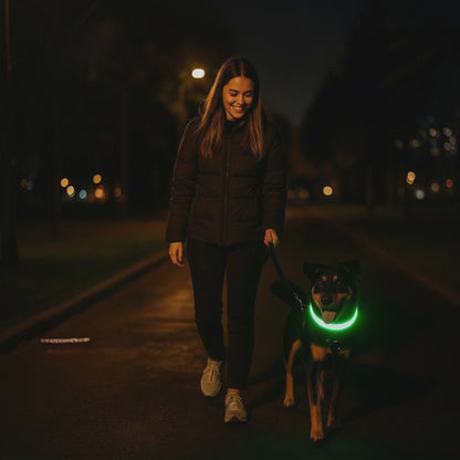 HaloGlow™ LED Pet Collar – Fast U.S. Shipping (3–5 Days)