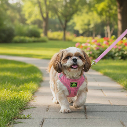 CozyStep™ Reflective Mesh Harness + Leash Set