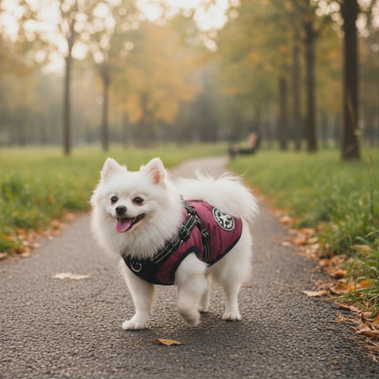 Waterproof Dog Jacket With Harness: Small–Medium Breed Fit