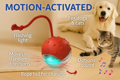 RoboChase Pet Toy Ball