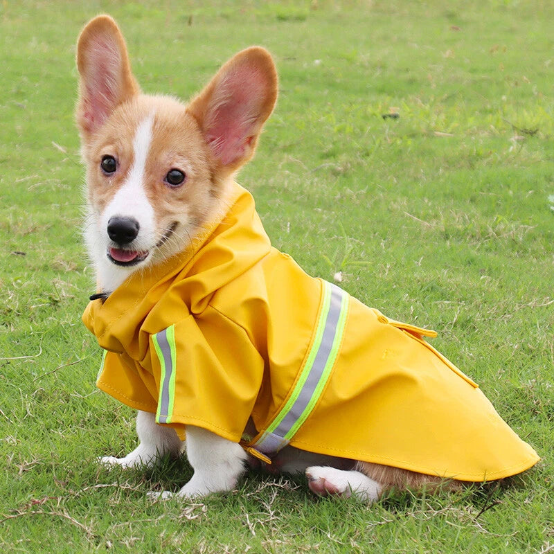 PuddlePaw™ Waterproof Dog Rain Jacket: Small–Medium Breed Fit
